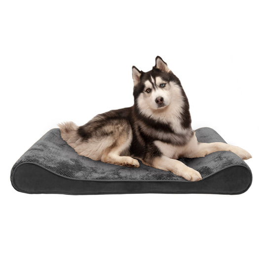 Luxe Lounger Contour Dog Bed - Minky Plush & Velvet