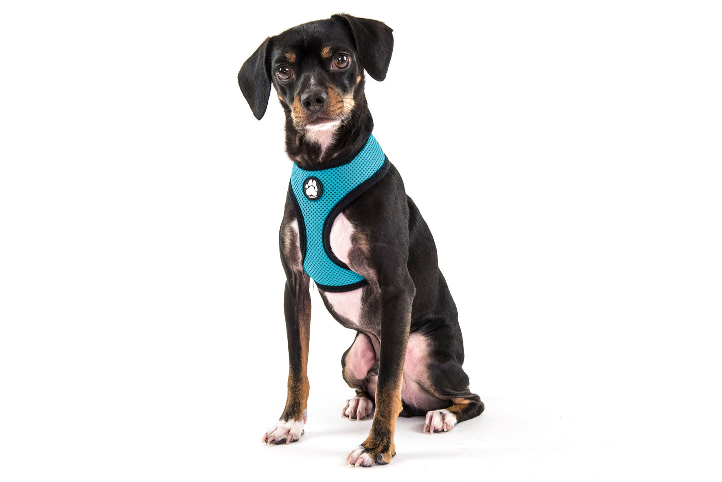 Soft & Comfy Mesh Dog Harness