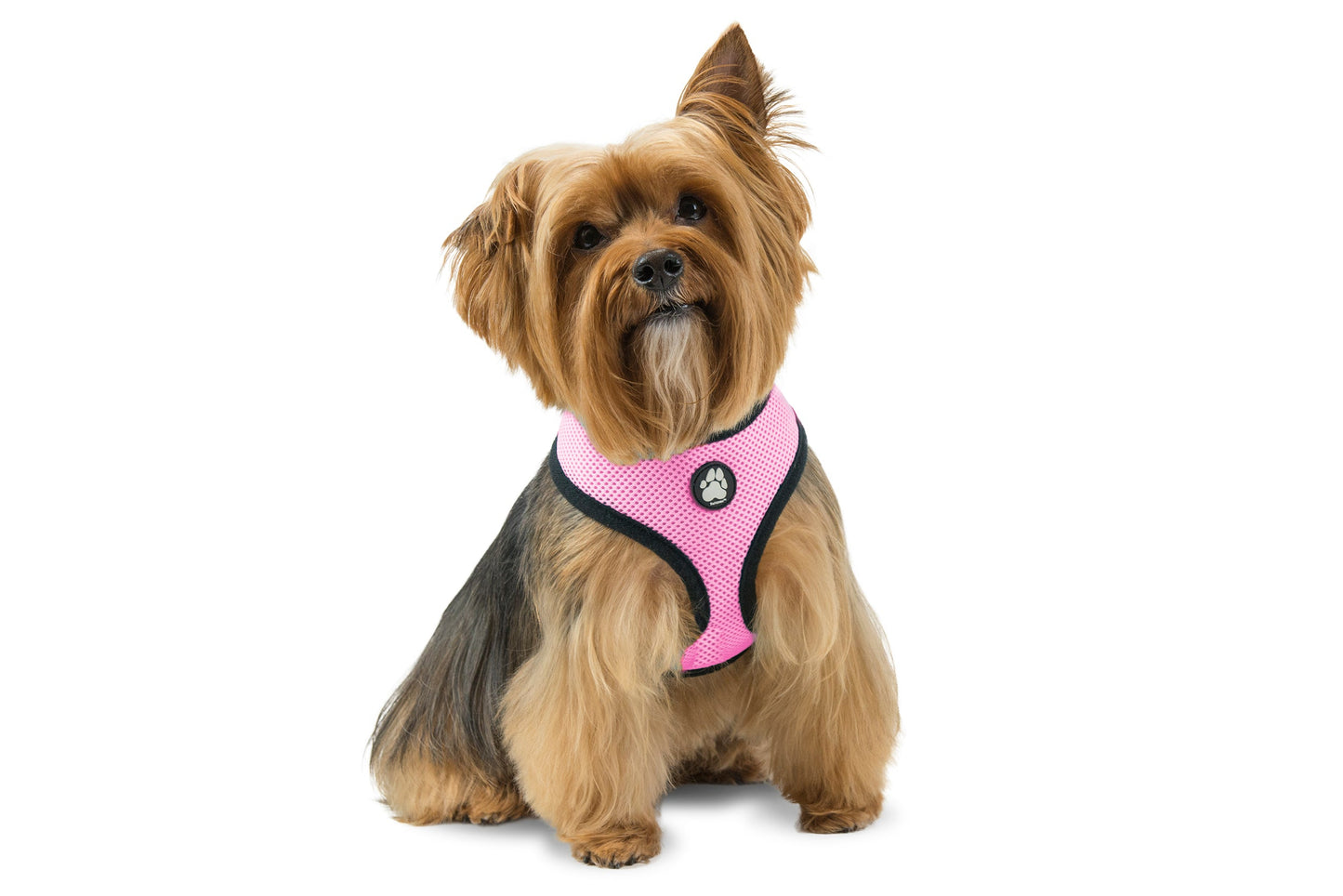 Soft & Comfy Mesh Dog Harness
