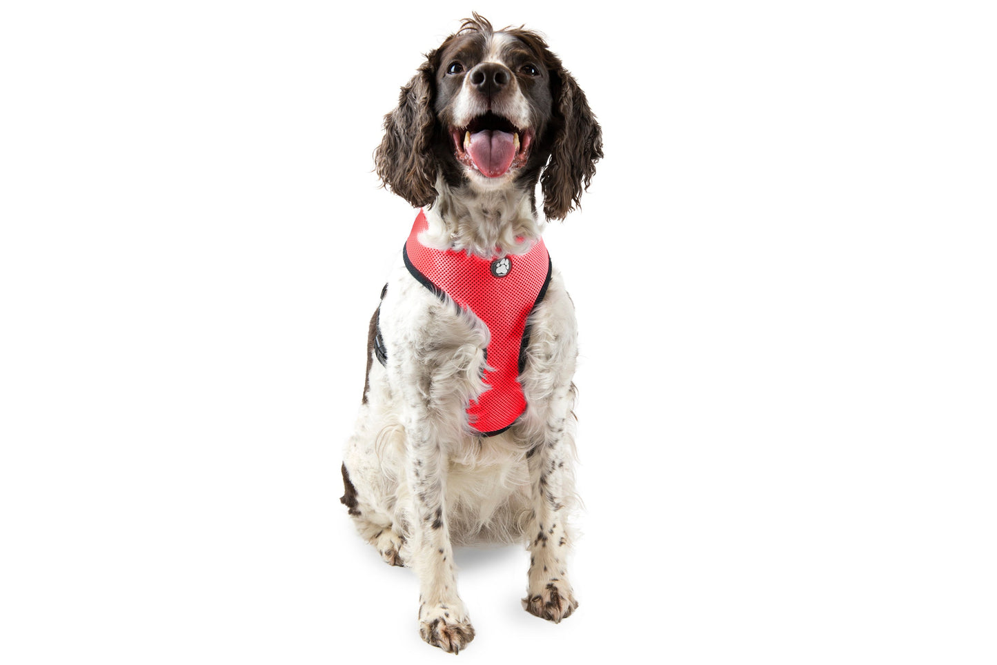 Soft & Comfy Mesh Dog Harness