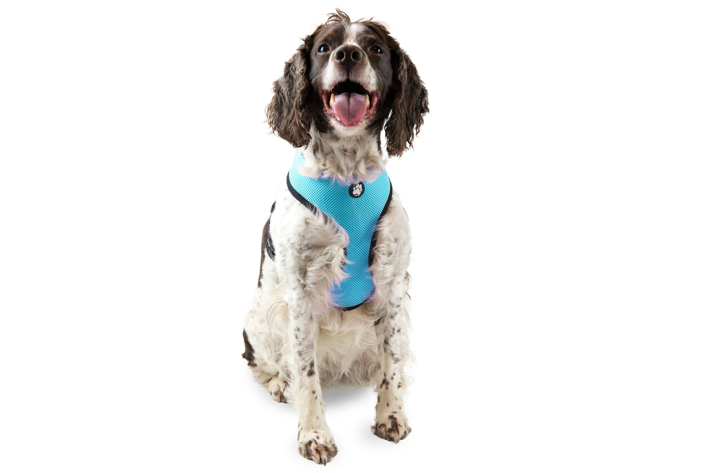 Soft & Comfy Mesh Dog Harness