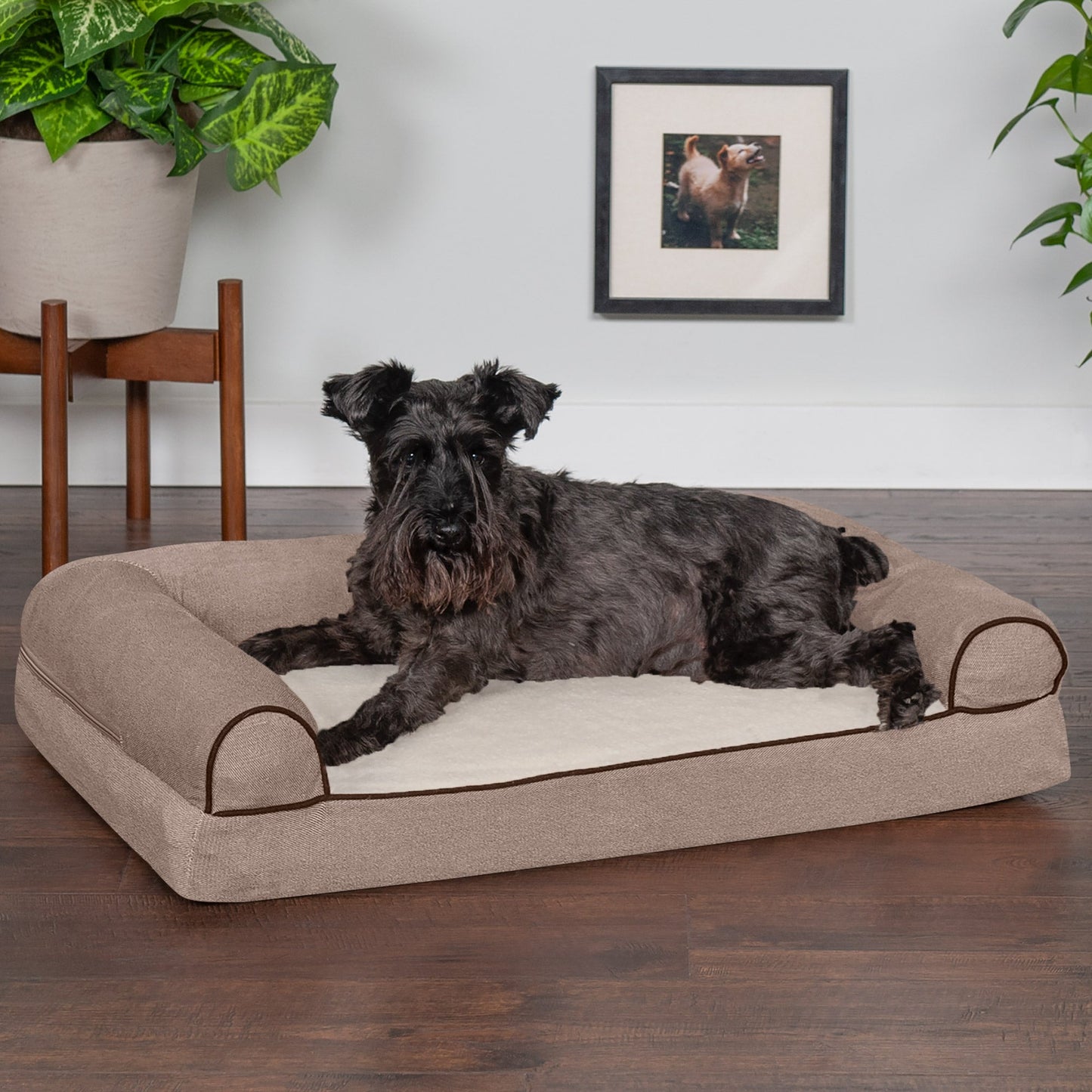 Sofa Dog Bed - Faux Fleece & Chenille