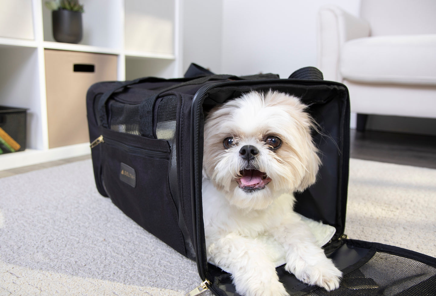 Replacement Liners for Travel Pet Carriers, White, Small (2 Count)