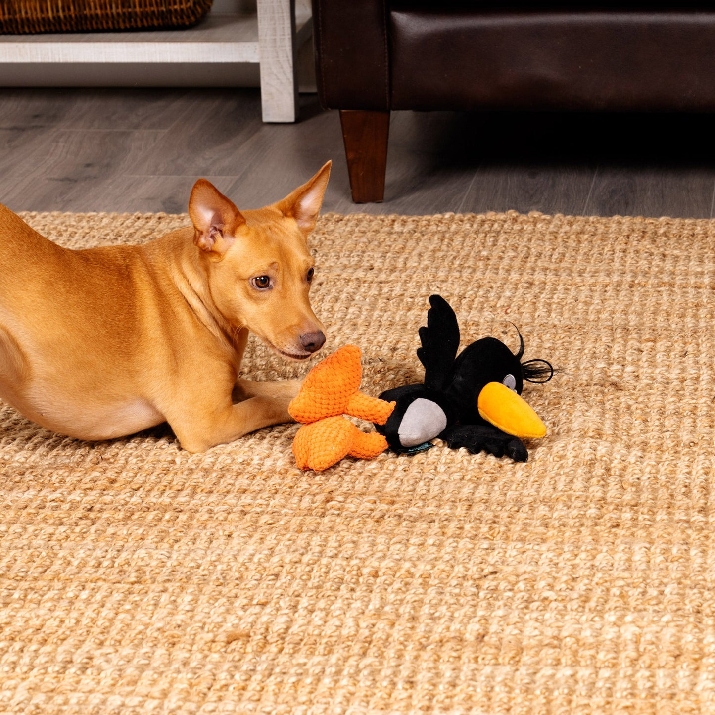Silent Squeak Crow Plush Chew Guard Dog Toy, Large