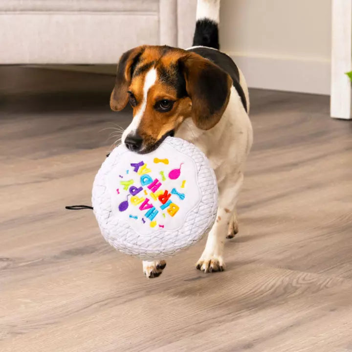 Tough 'N Fun™ Food Collection Plush Dog Toys