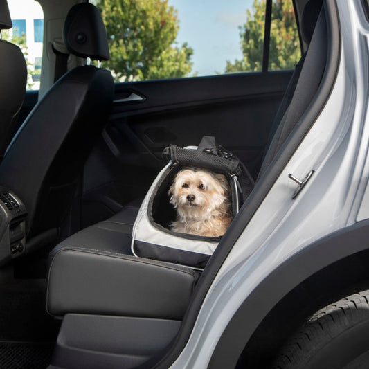 Forma Frame Crash-Tested Travel Bag Pet Carrier