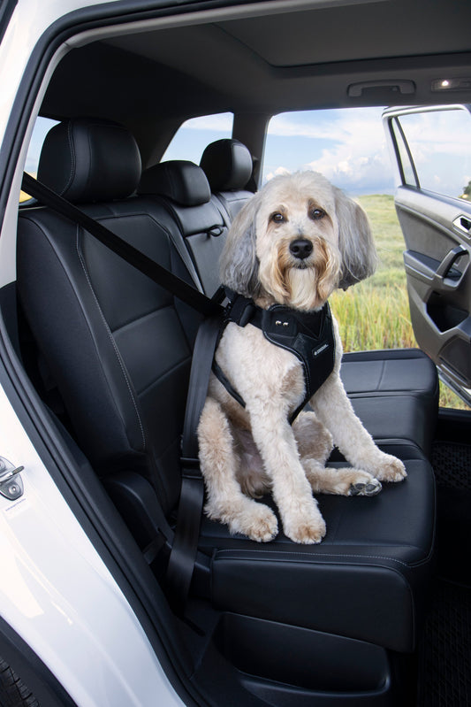 Seatbelt Harness, Crash Tested Dog Harness, Adjustable, With No-Pull D Ring
