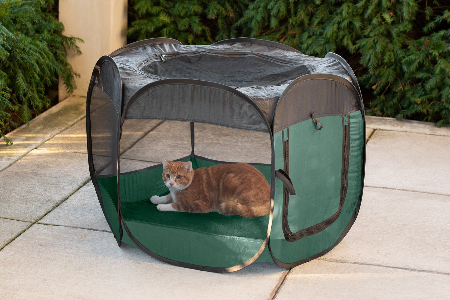 Portable Mesh Pet Playpen
