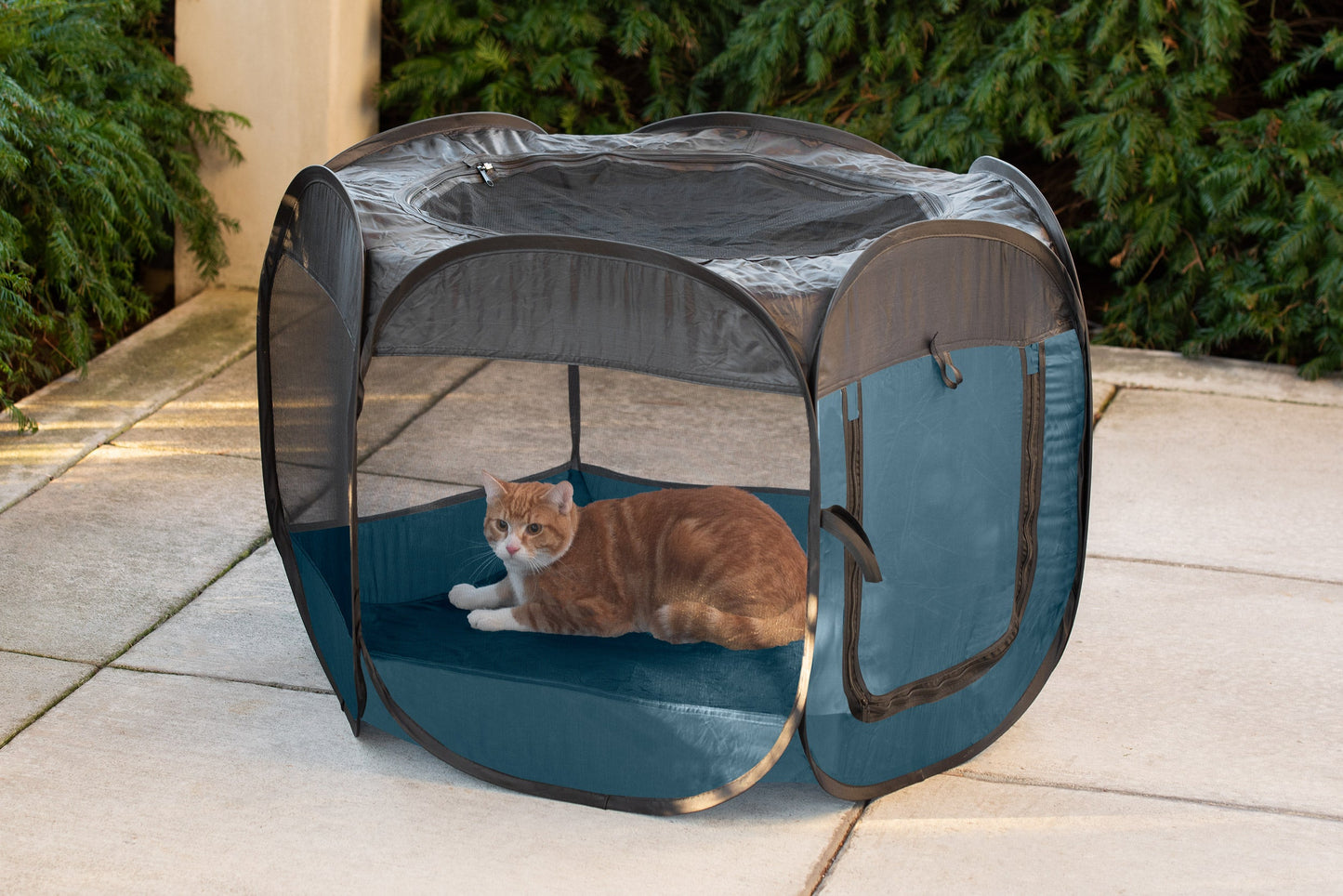 Portable Mesh Pet Playpen
