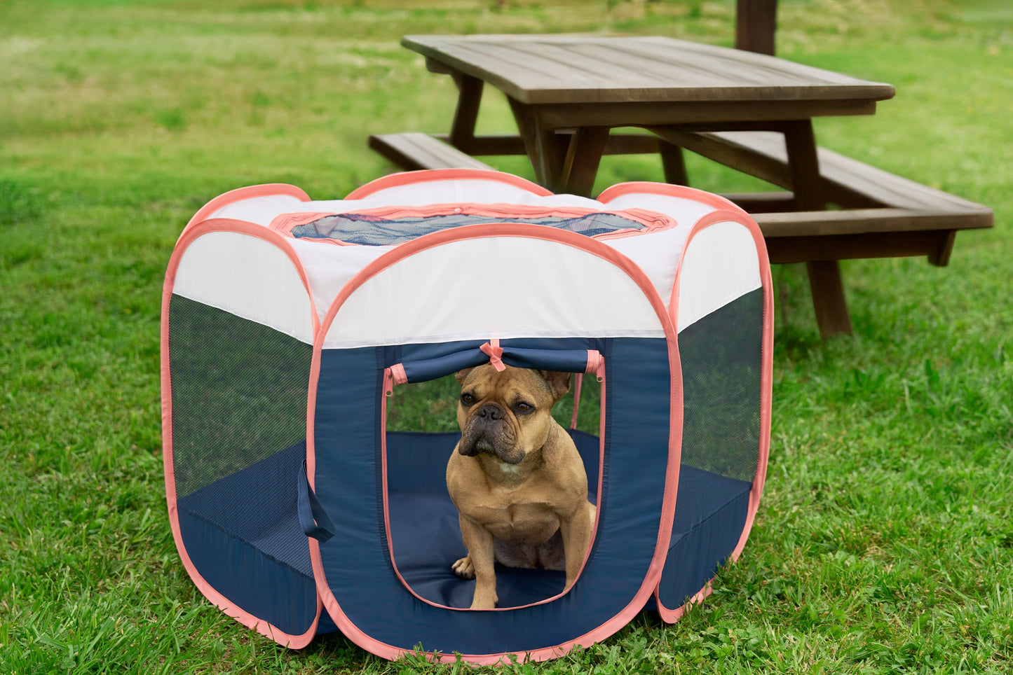 Portable Mesh Pet Playpen