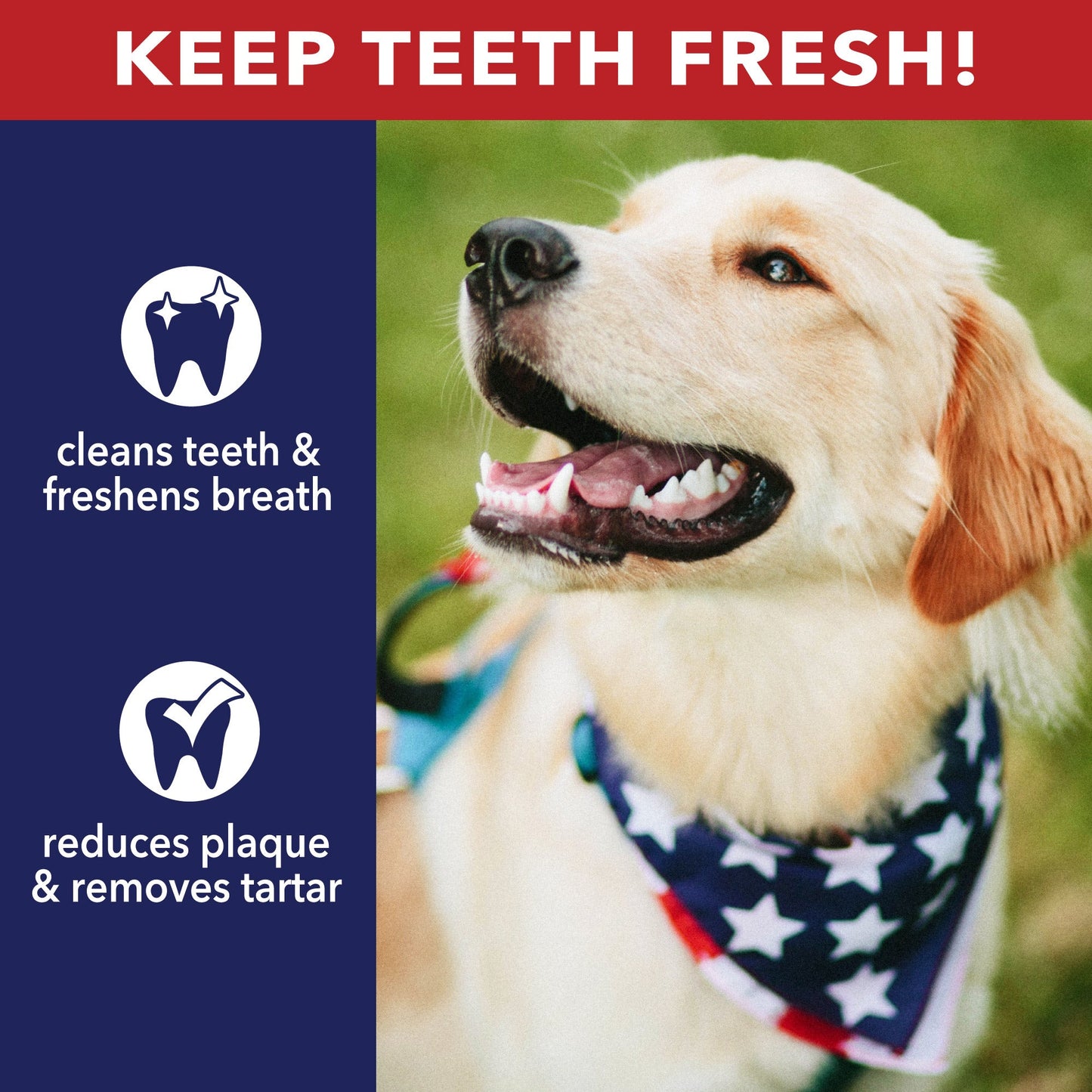 Pet Factory - Made in USA Beefhide Rolls Peanut Butter Flavored Dog Treat