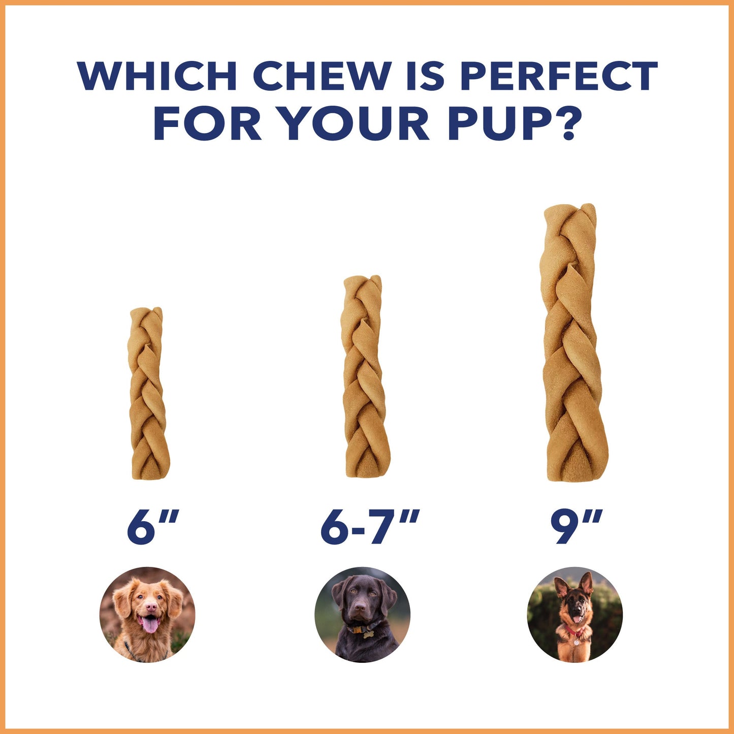 Pet Factory - CareChewz Collagen Twists Dog Treats, 6-7", 6 ct