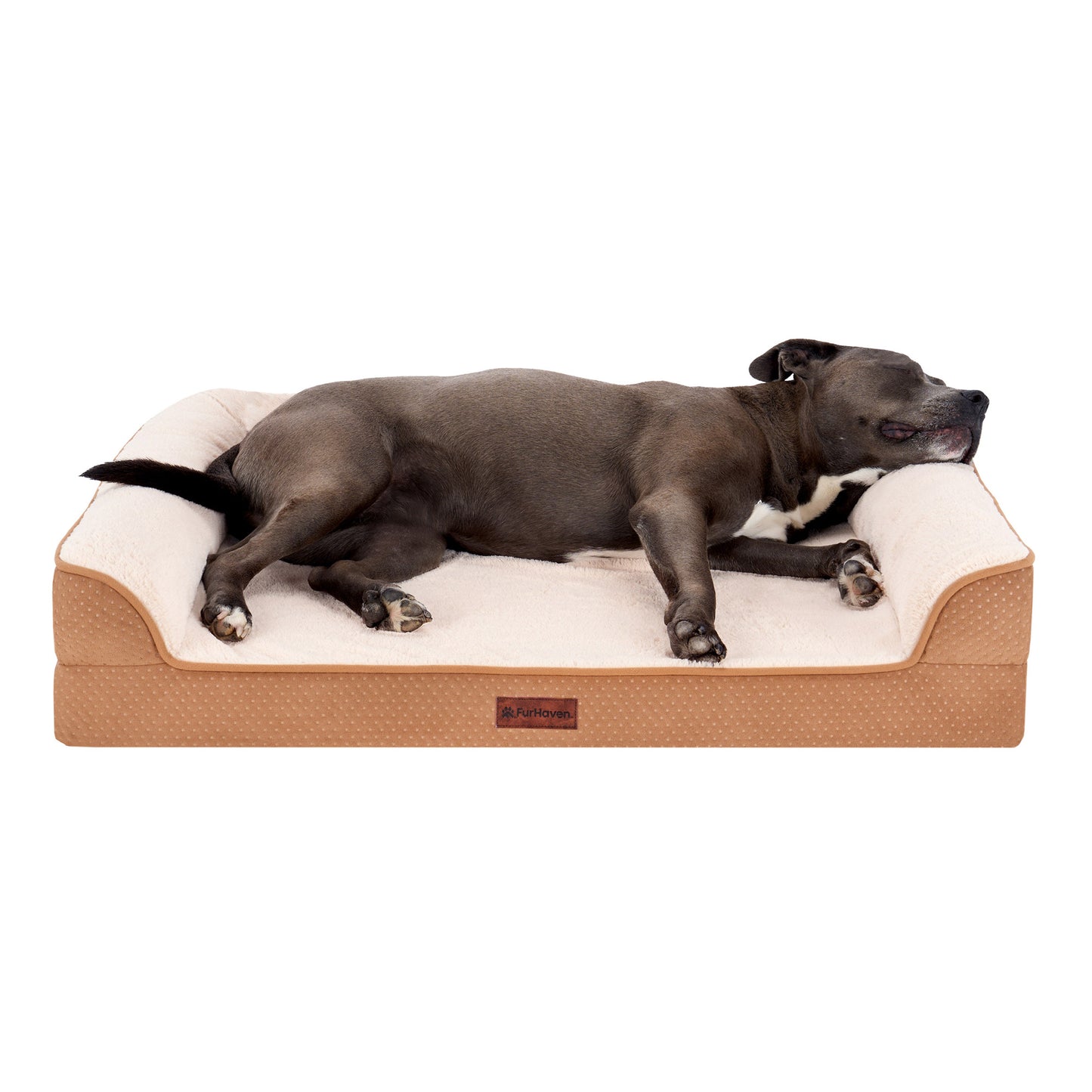 Plush & Embossed Velvet Dreamer Modern Sofa Pet Bed