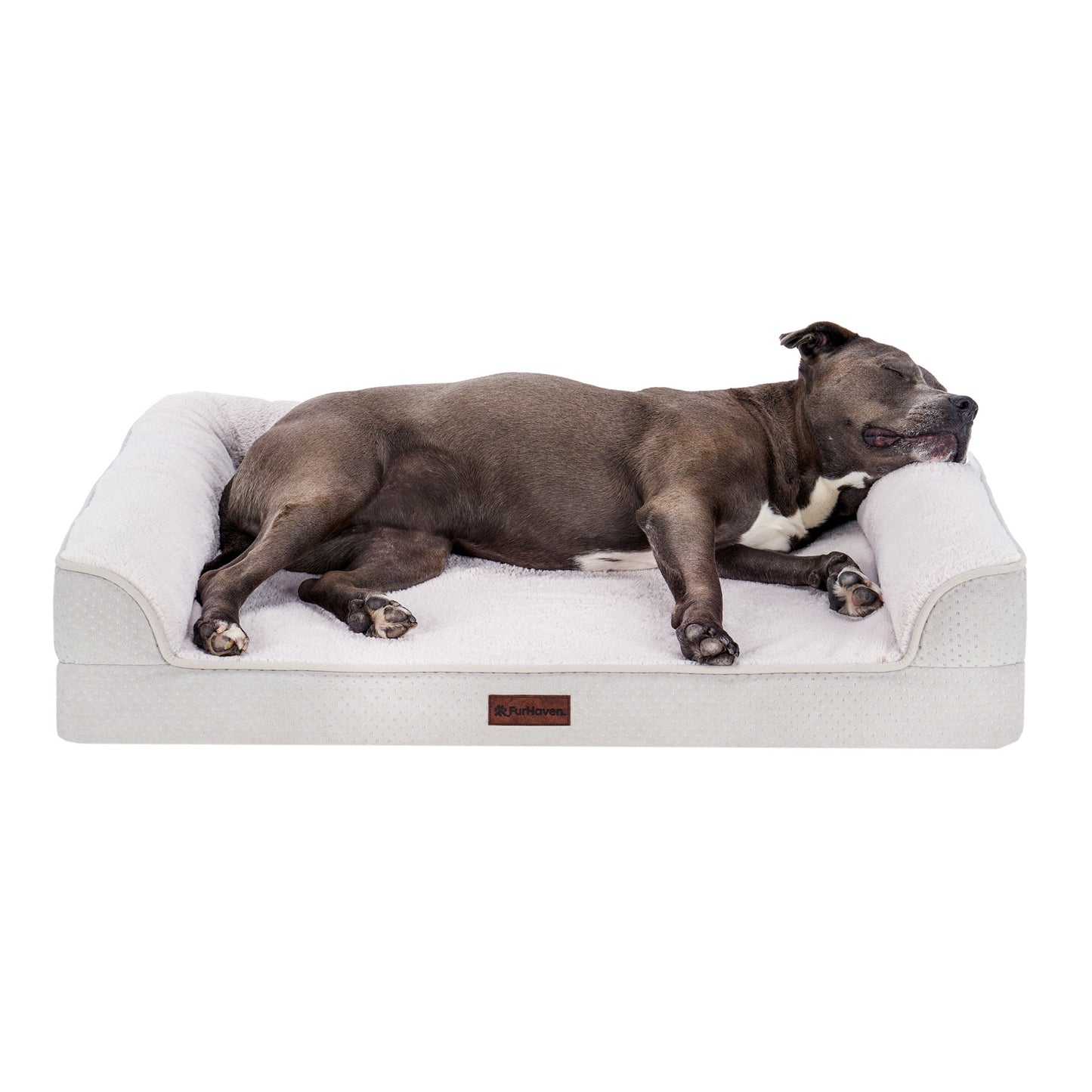 Plush & Embossed Velvet Dreamer Modern Sofa Pet Bed