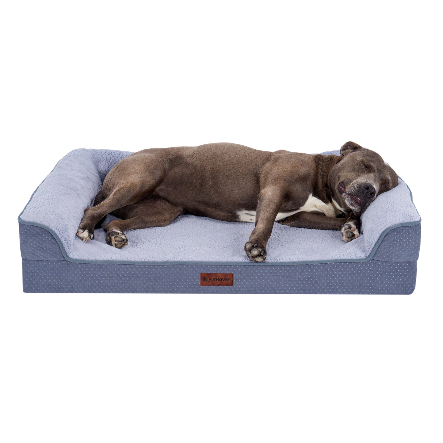 Plush & Embossed Velvet Dreamer Modern Sofa Pet Bed