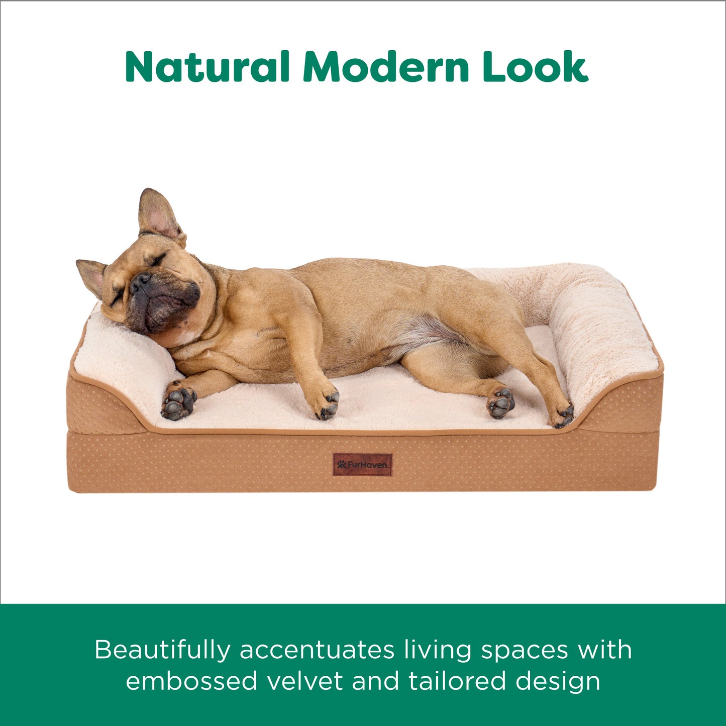 Plush & Embossed Velvet Dreamer Modern Sofa Pet Bed