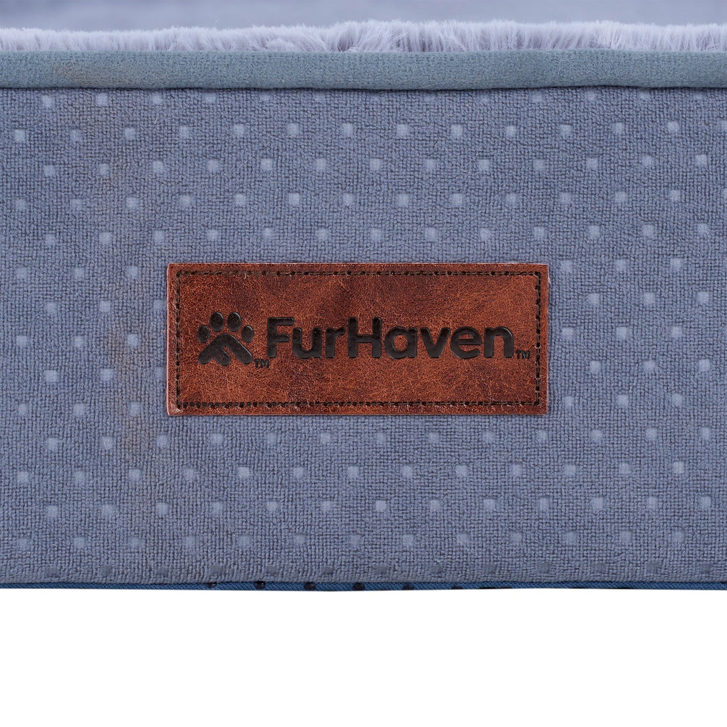 Plush & Embossed Velvet Dreamer Modern Sofa Pet Bed