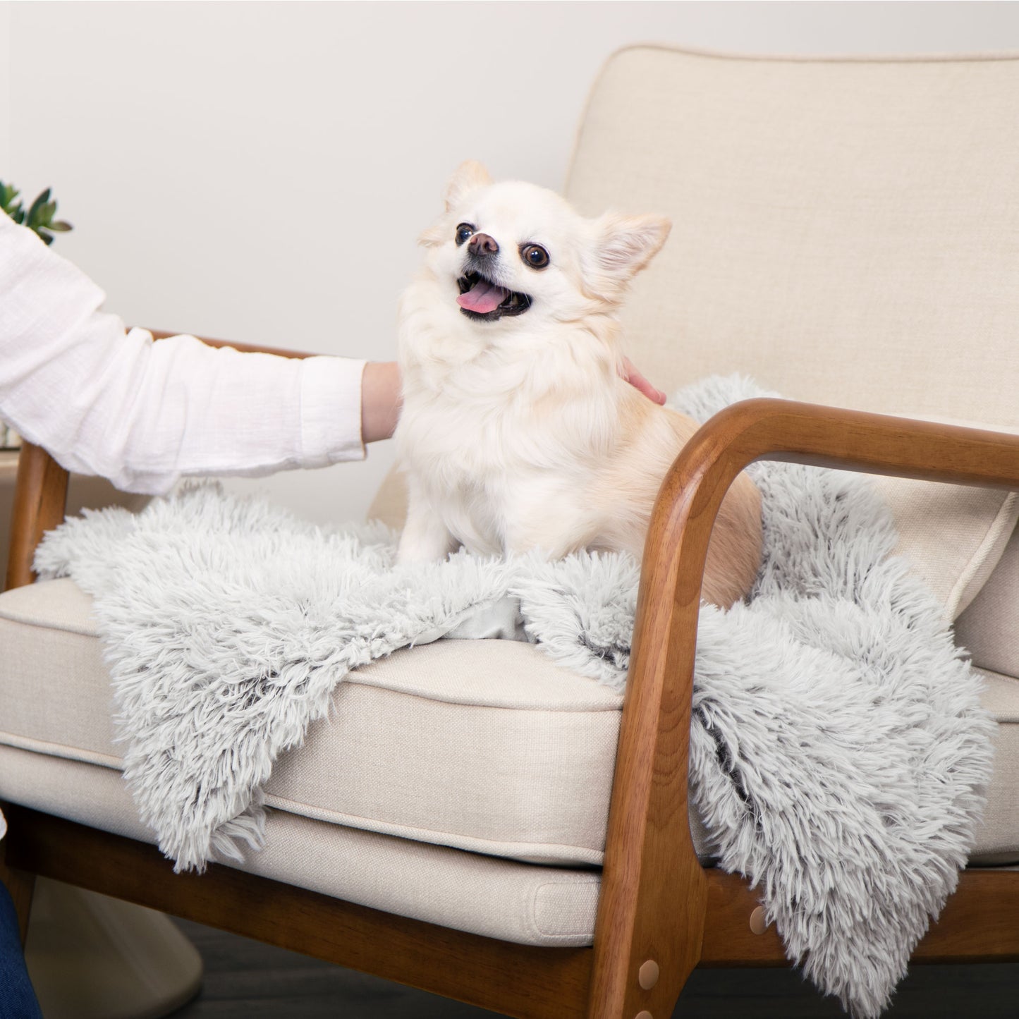 Waterproof Pet Throw Blanket - Long Fur & Velvet