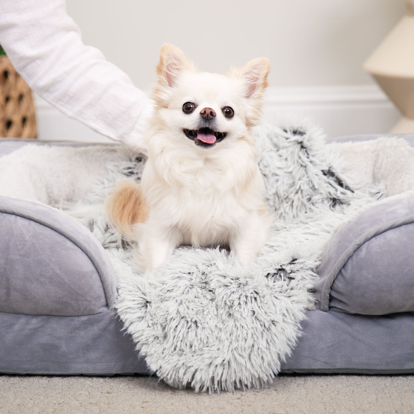 Waterproof Pet Throw Blanket - Long Fur & Velvet