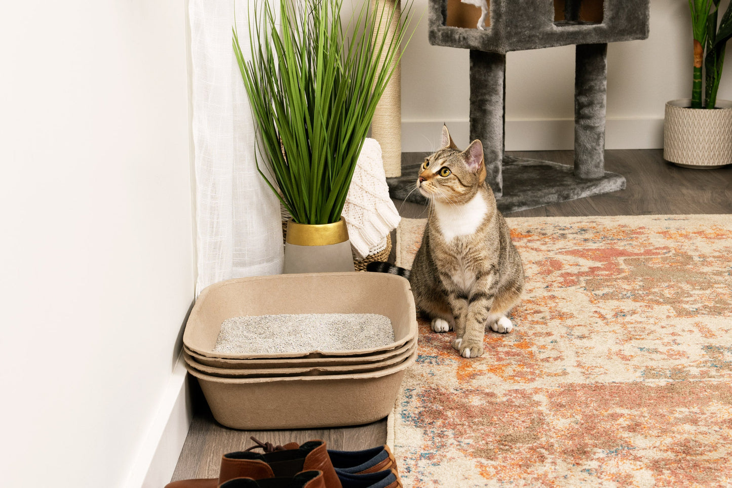Kitty Sift - Eco-Friendly Sifting Litter Box Kit  (1 Litter Box, 5 Sifting Liners)