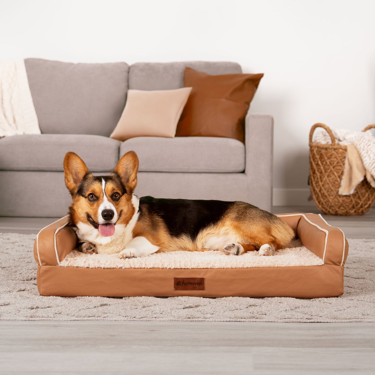 Textured Plush & Coated Poly Modern Sofa Pet Bed