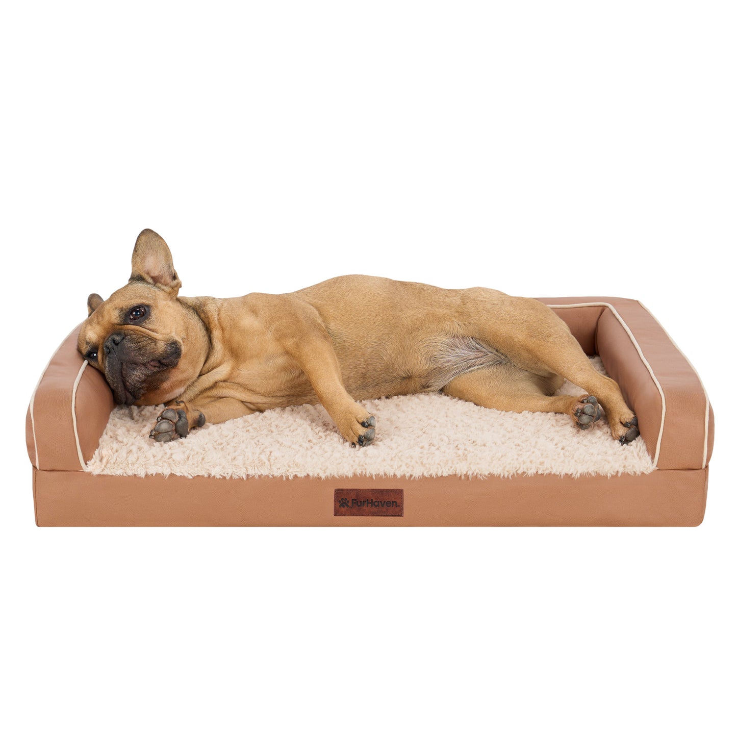 Textured Plush & Coated Poly Modern Sofa Pet Bed