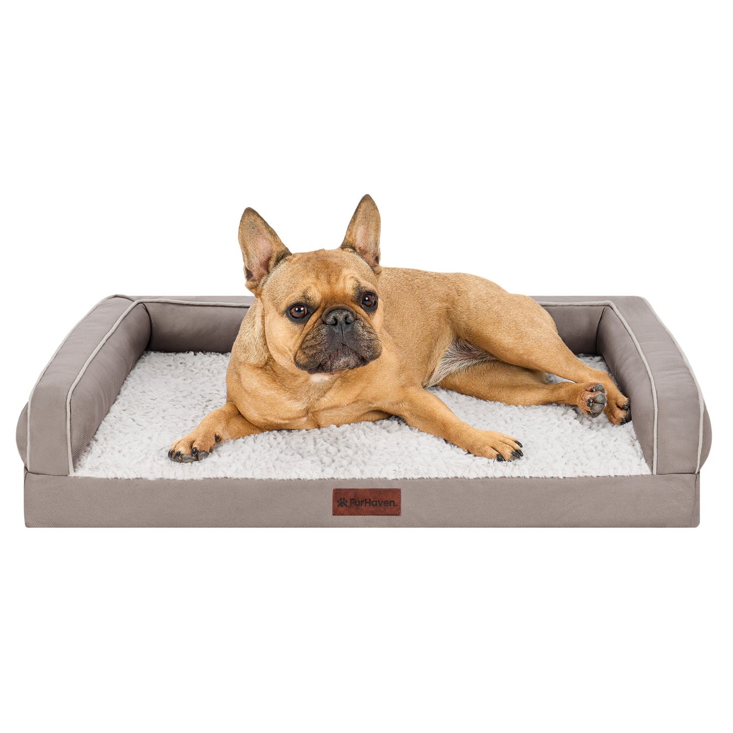 Textured Plush & Coated Poly Modern Sofa Pet Bed