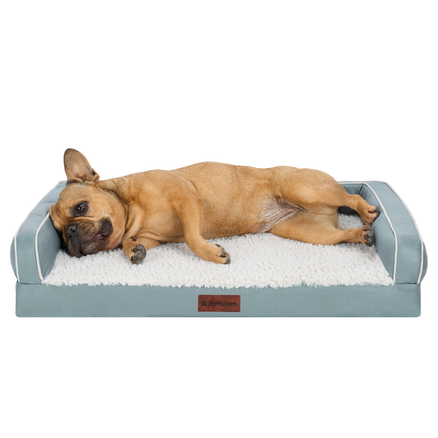 Textured Plush & Coated Poly Modern Sofa Pet Bed