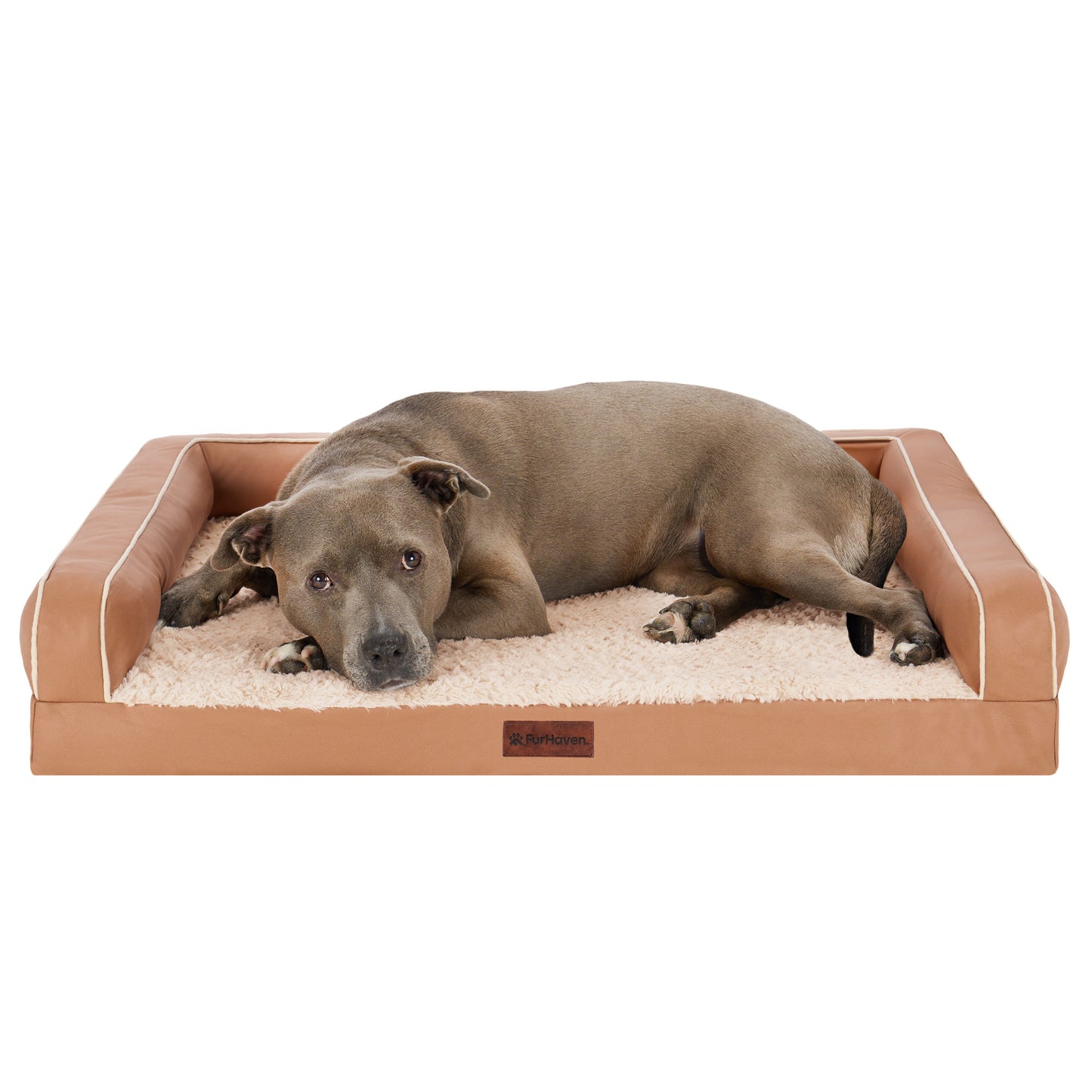 Textured Plush & Coated Poly Modern Sofa Pet Bed