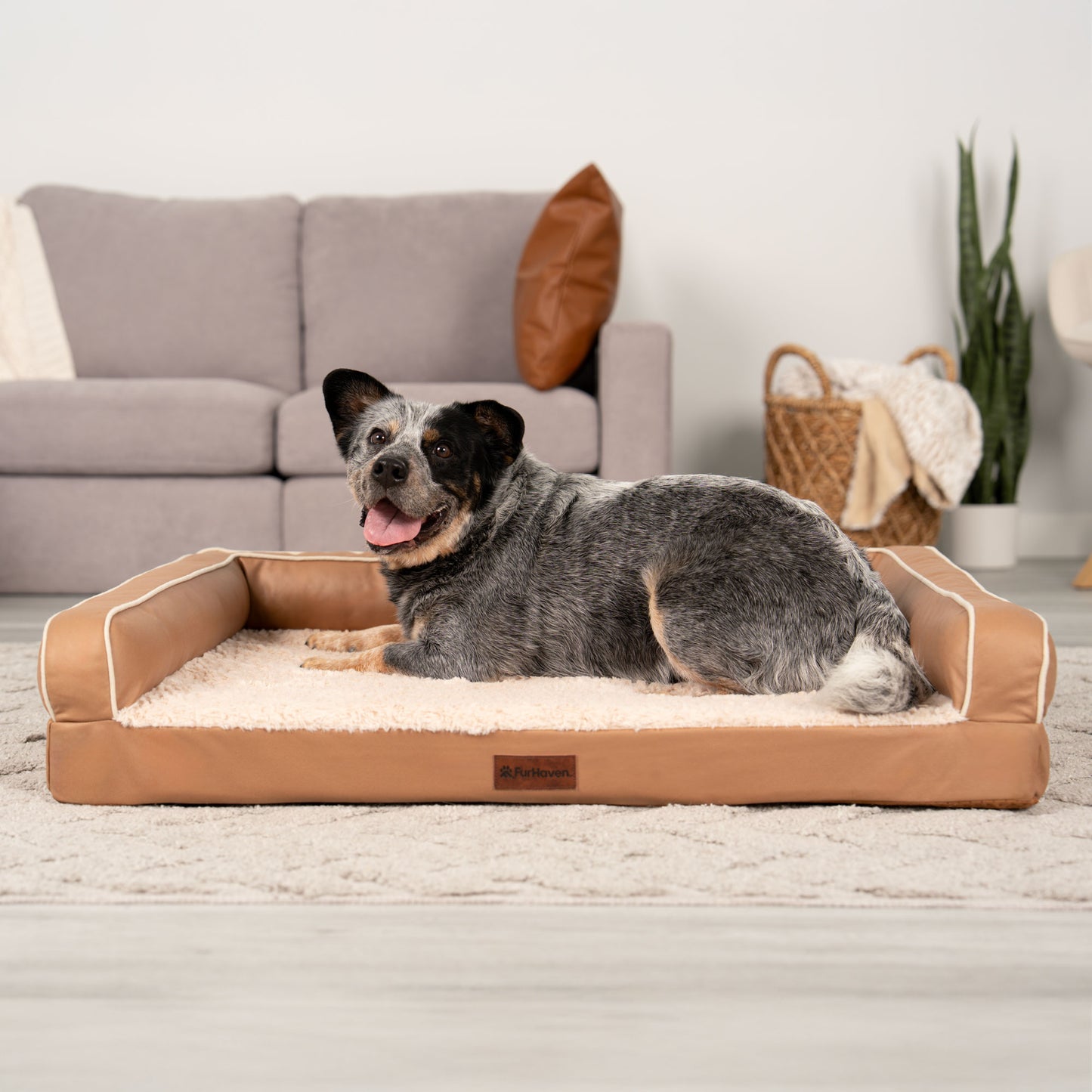 Textured Plush & Coated Poly Modern Sofa Pet Bed