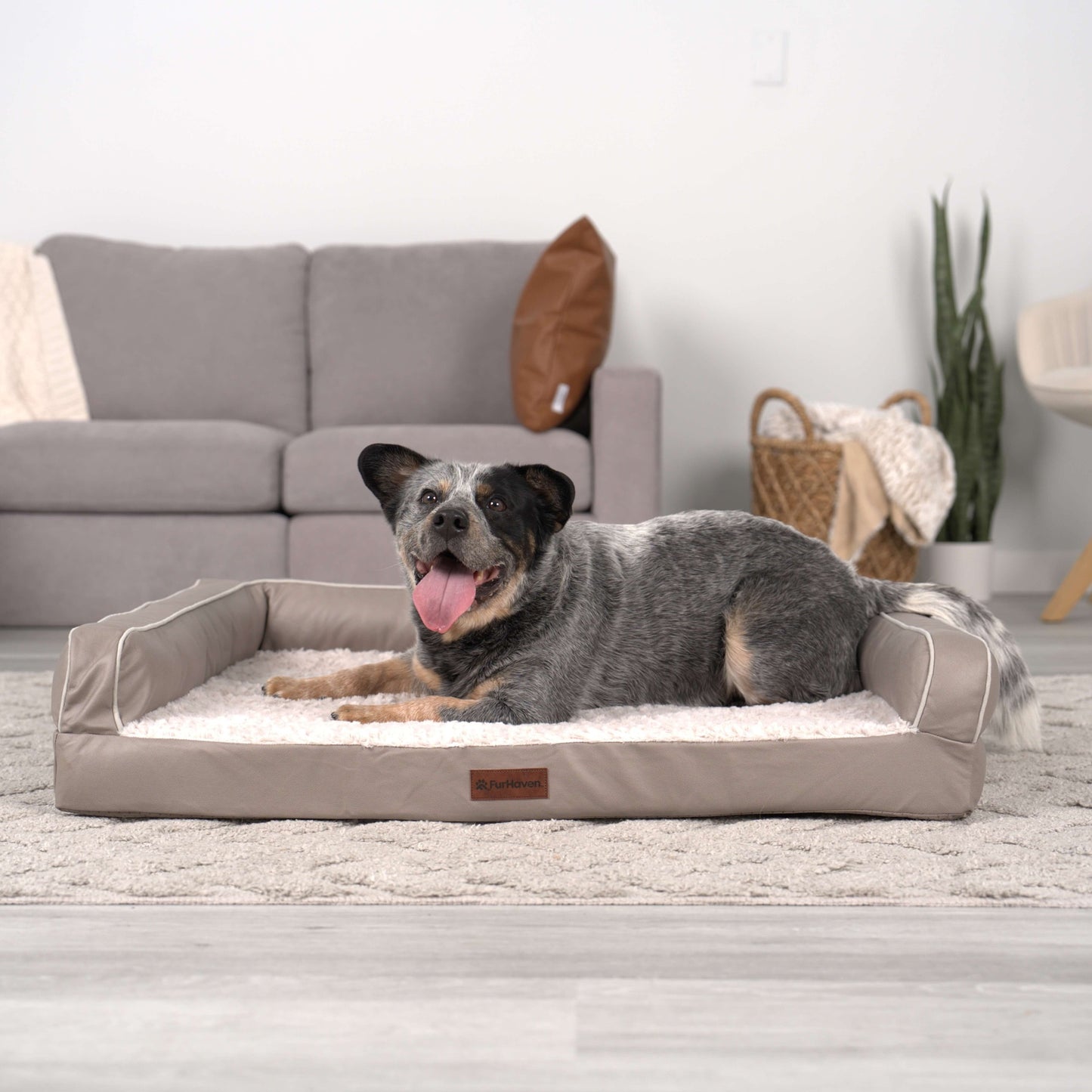 Textured Plush & Coated Poly Modern Sofa Pet Bed