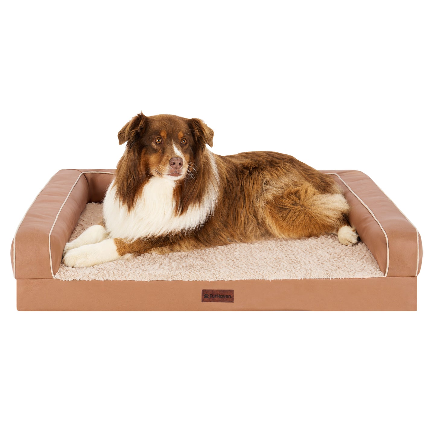 Textured Plush & Coated Poly Modern Sofa Pet Bed