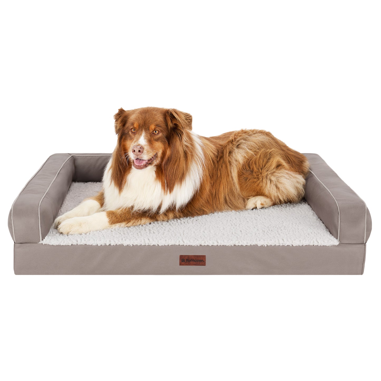 Textured Plush & Coated Poly Modern Sofa Pet Bed