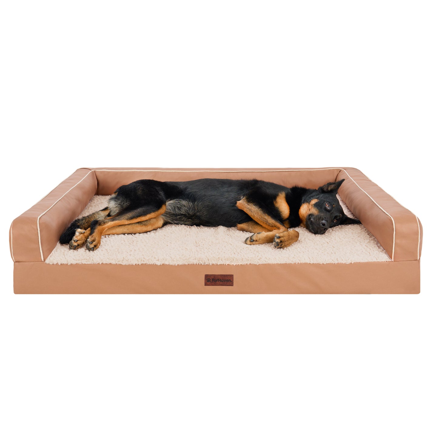 Textured Plush & Coated Poly Modern Sofa Pet Bed