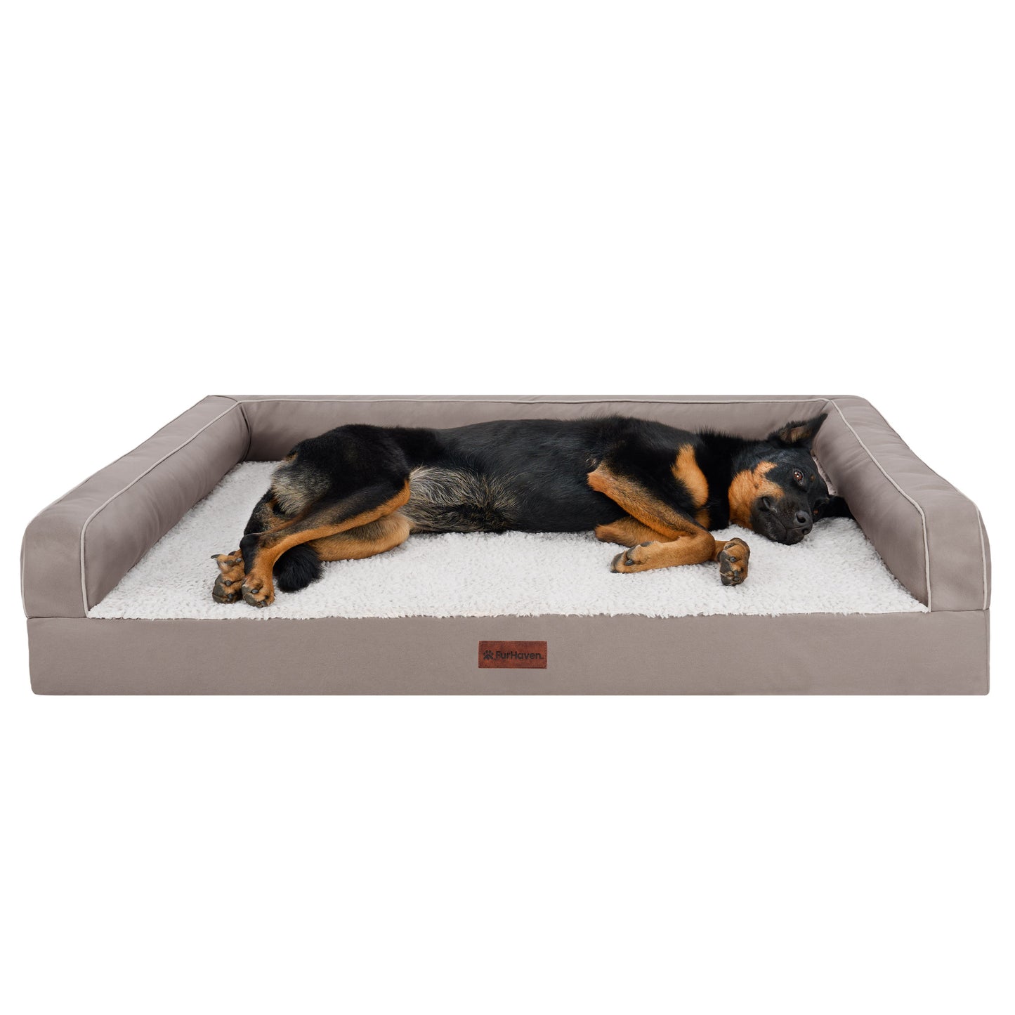 Textured Plush & Coated Poly Modern Sofa Pet Bed