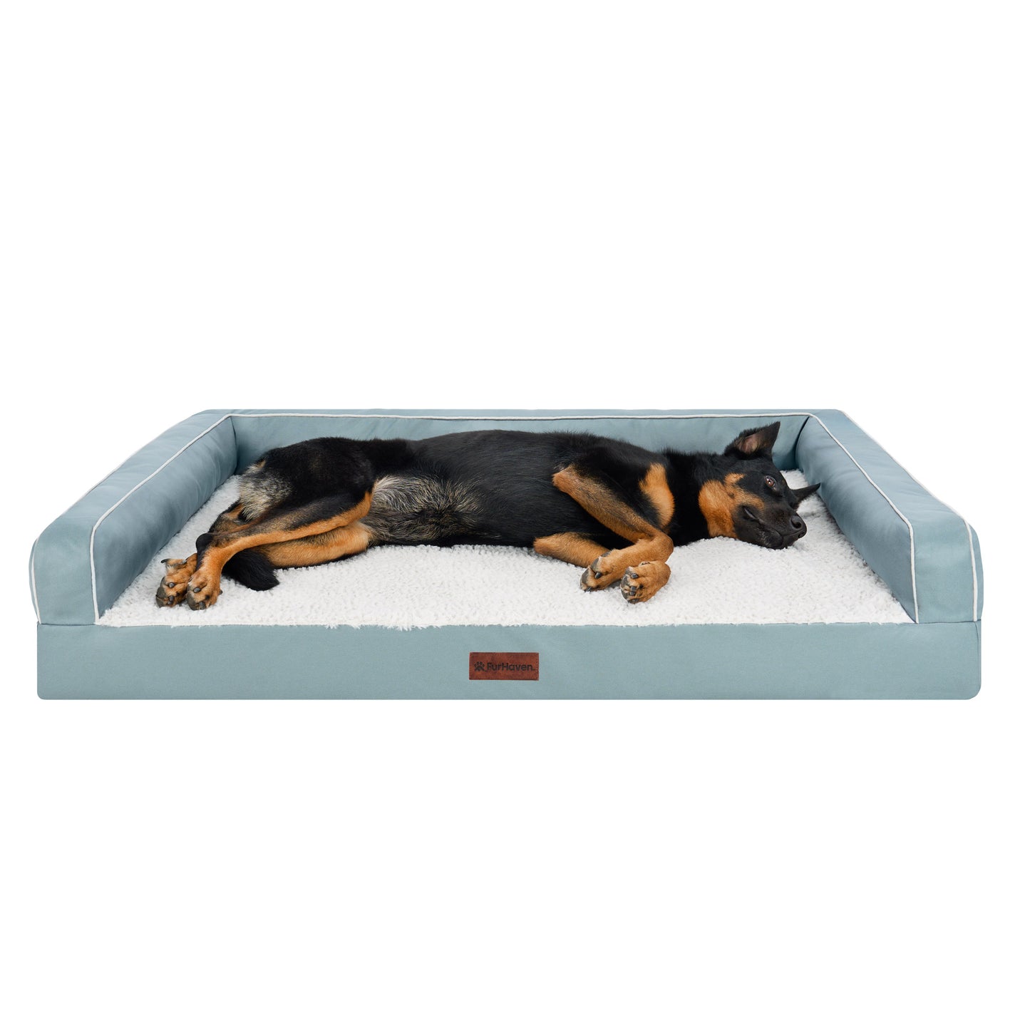 Textured Plush & Coated Poly Modern Sofa Pet Bed