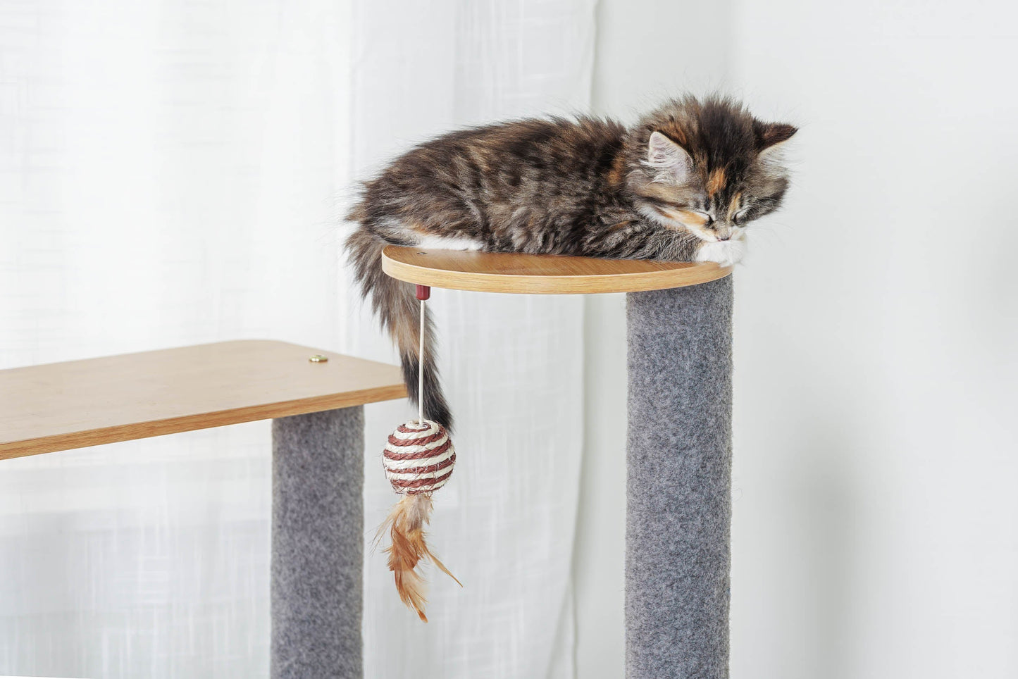 Ascentials by FurHaven Luxe Suite Cat Tower (48”-58”), Customizable Multi-Level Indoor Cat Tree