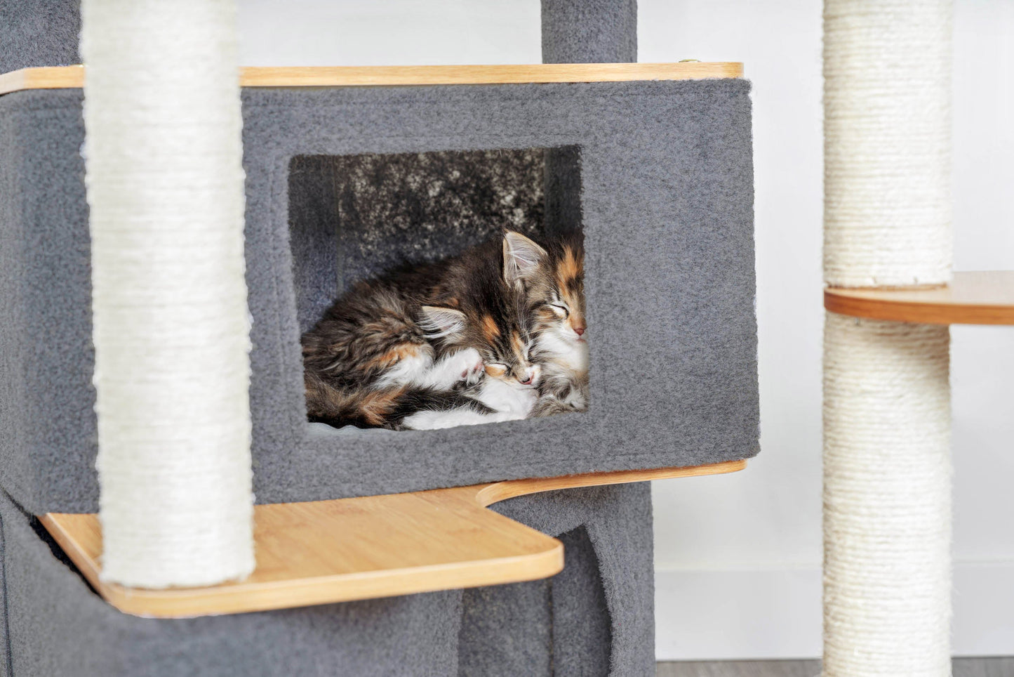 Ascentials by FurHaven Luxe Suite Cat Tower (48”-58”), Customizable Multi-Level Indoor Cat Tree