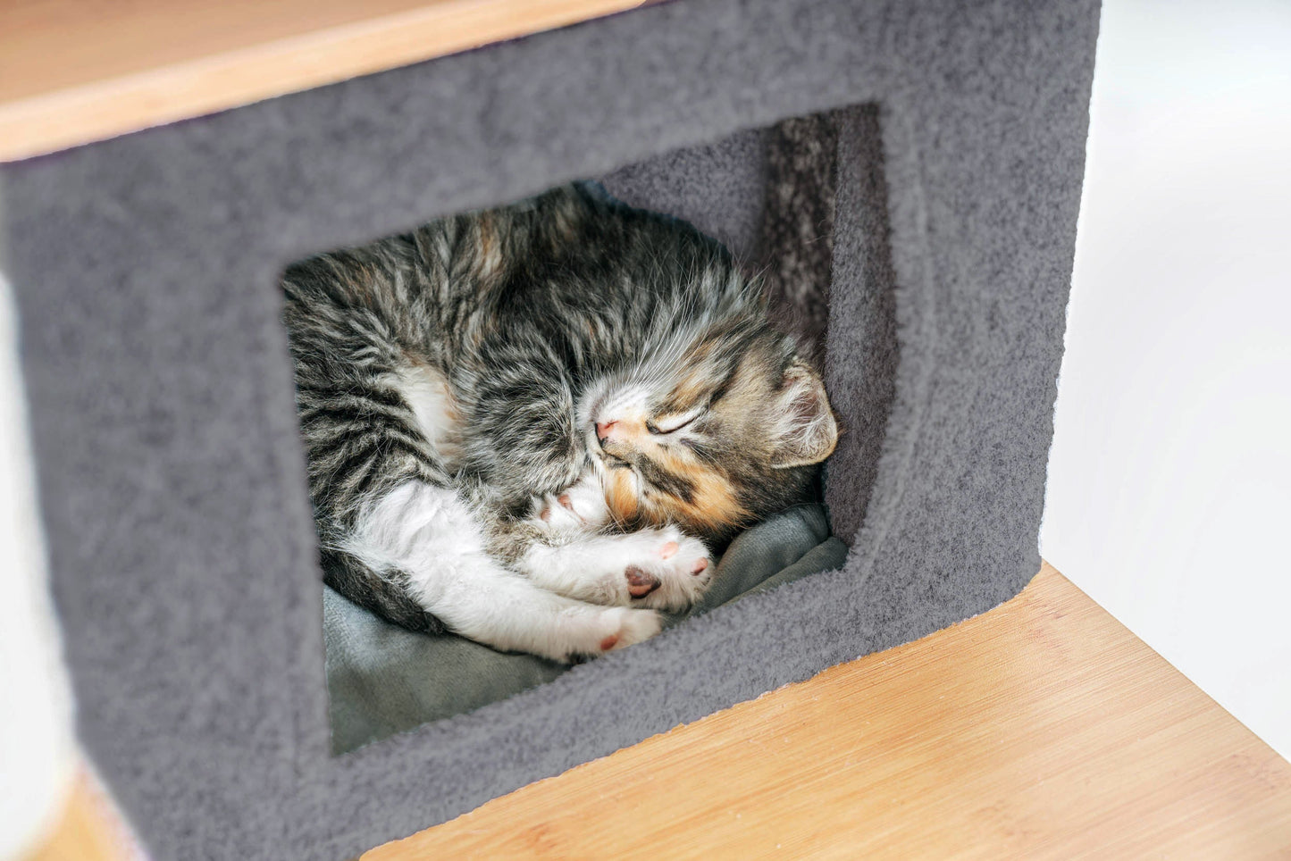 Ascentials by FurHaven Grand Suite Cat Tower (68”-78”), Customizable Multi-Level Indoor Cat Tree