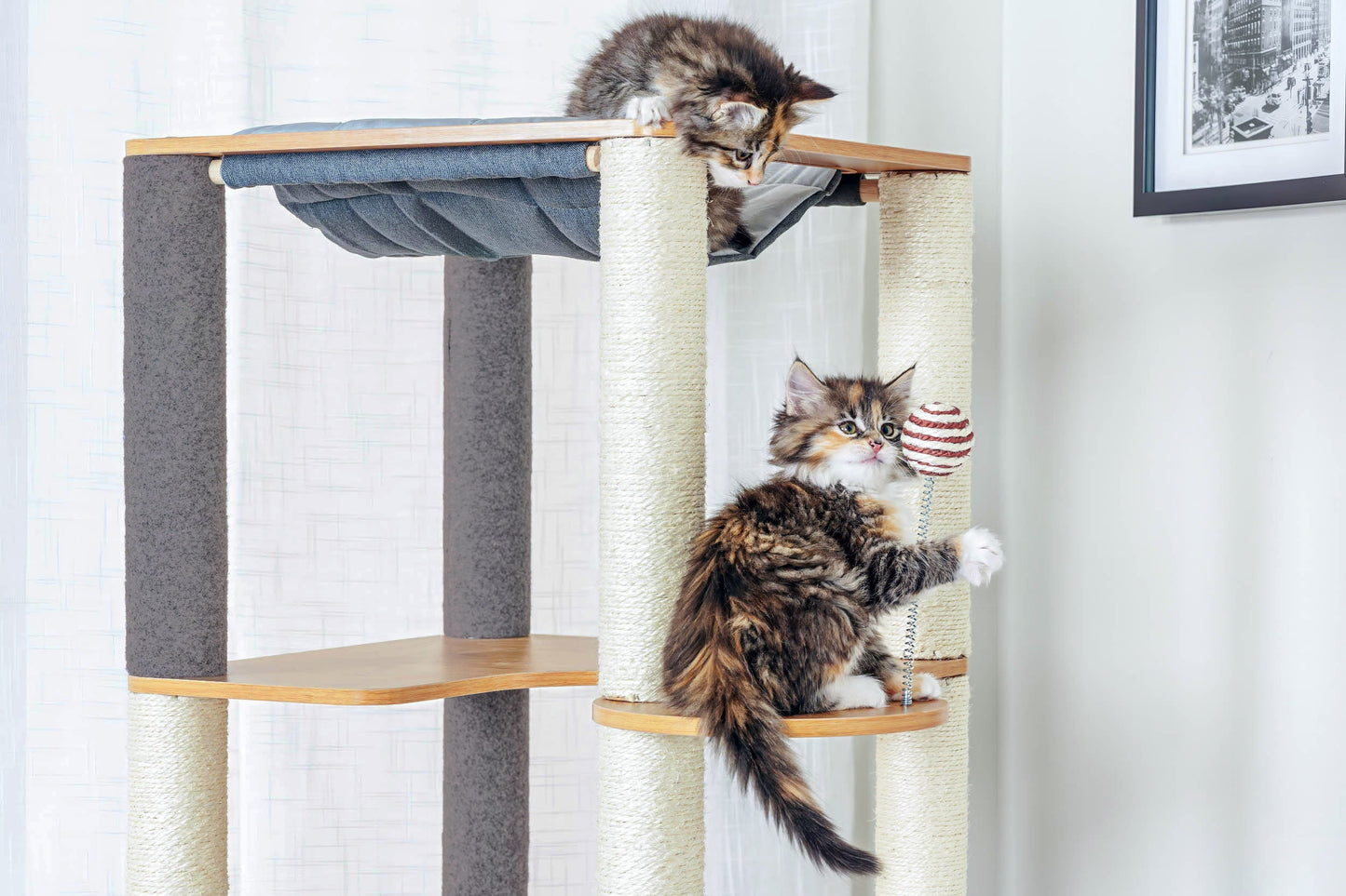 Ascentials by FurHaven Grand Suite Cat Tower (68”-78”), Customizable Multi-Level Indoor Cat Tree