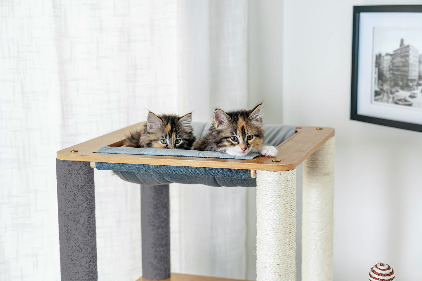 Ascentials by FurHaven Grand Suite Cat Tower (68”-78”), Customizable Multi-Level Indoor Cat Tree