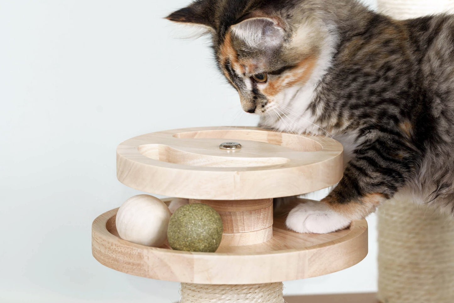 Ascentials by FurHaven Grand Suite Cat Tower (68”-78”), Customizable Multi-Level Indoor Cat Tree