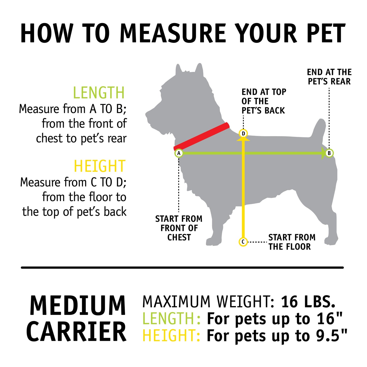Forma Frame Crash-Tested Travel Bag Pet Carrier