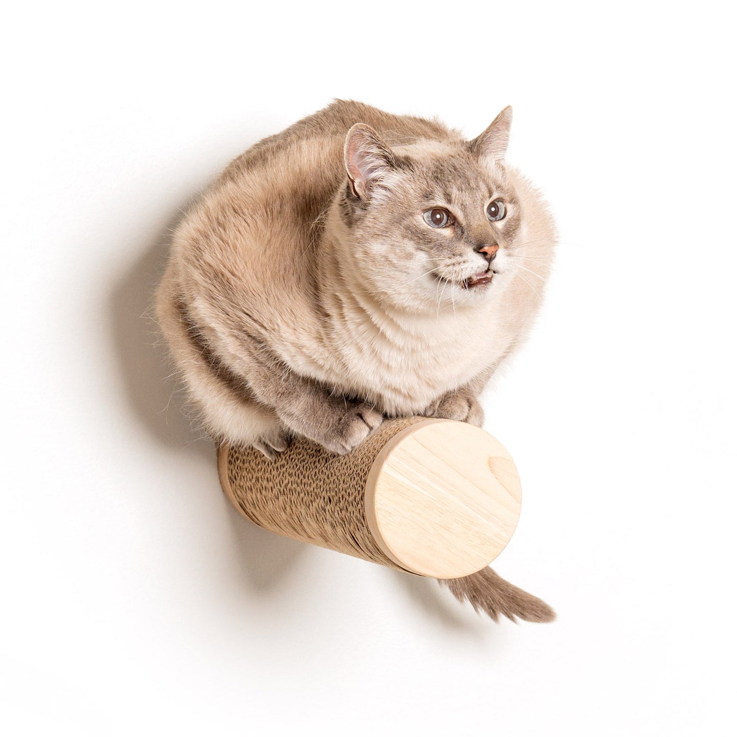 Ascentials by FurHaven Wall Mounted Milestone Post Cat Perch