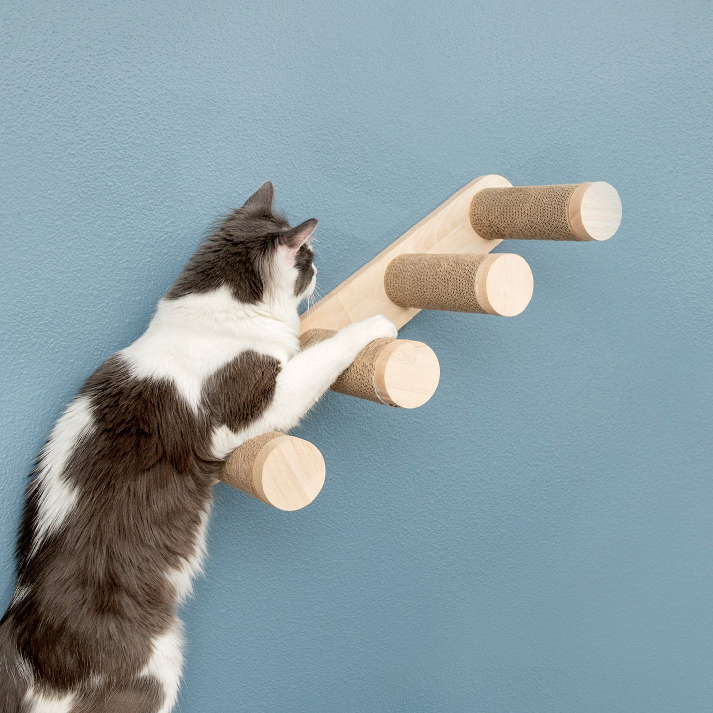 Ascentials by FurHaven Wall-Mounted Cloud Climber Cat Stairs (24”)