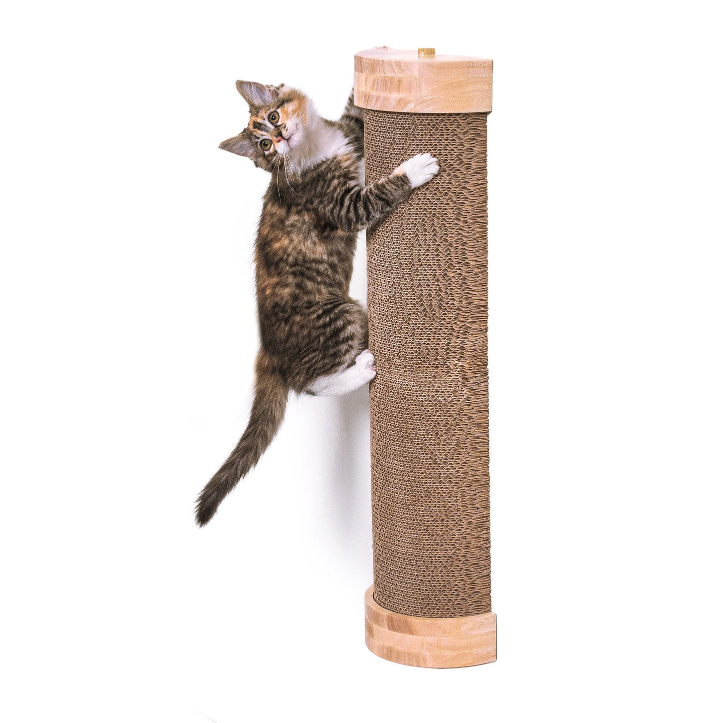 Ascentials by FurHaven Tree Hugger Wall-Mounted Corrugated Cat Post Vertical Scartcher (28”)