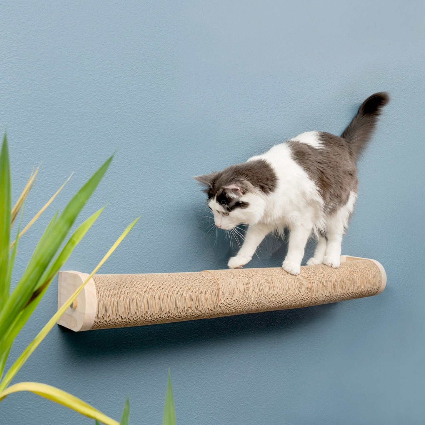 Ascentials by FurHaven Moonbeam Path Wall-Mounted Corrugated Cat Scratcher (32”)