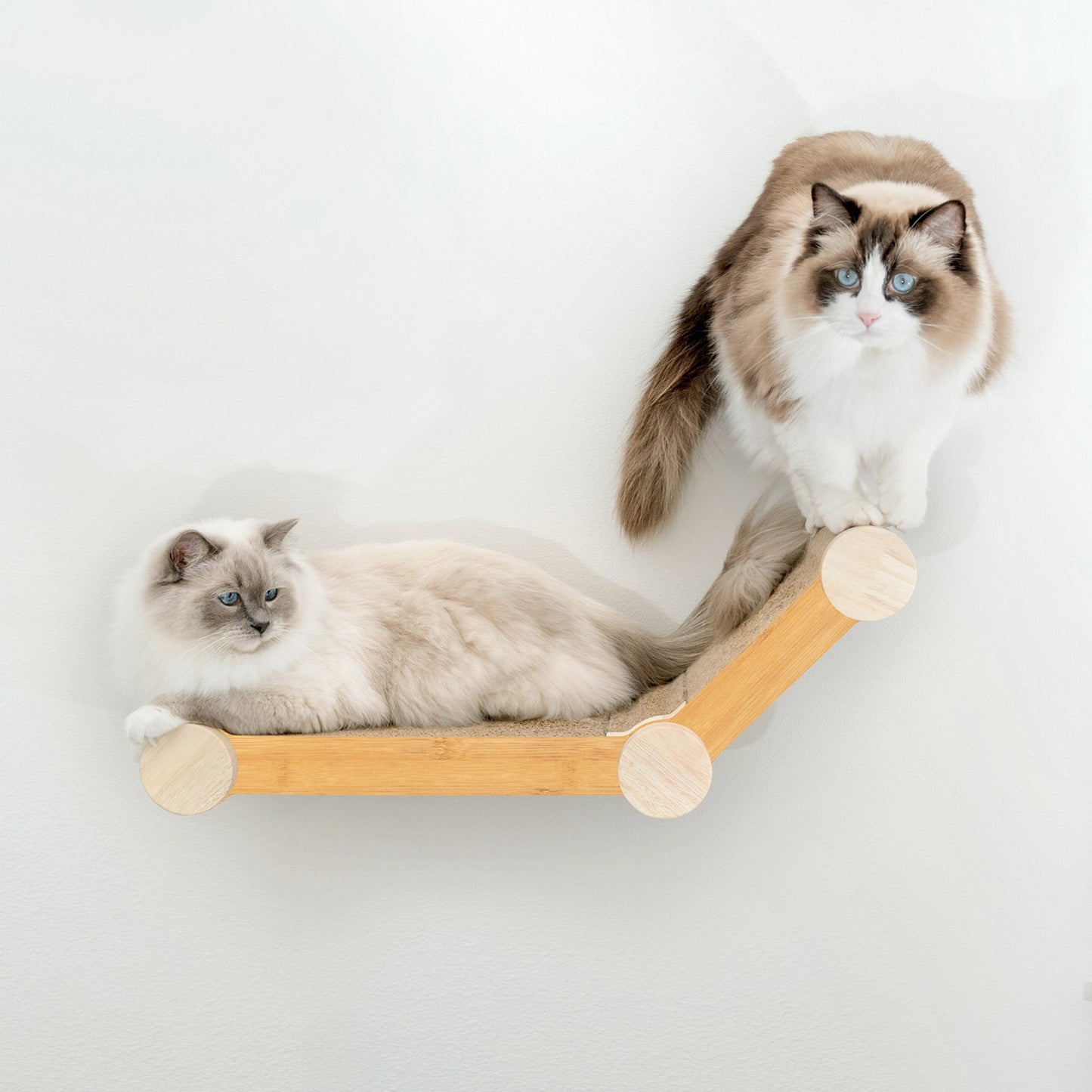 Ascentials by FurHaven Wall-Mounted Lookout Lounge Cat Shelf (26")