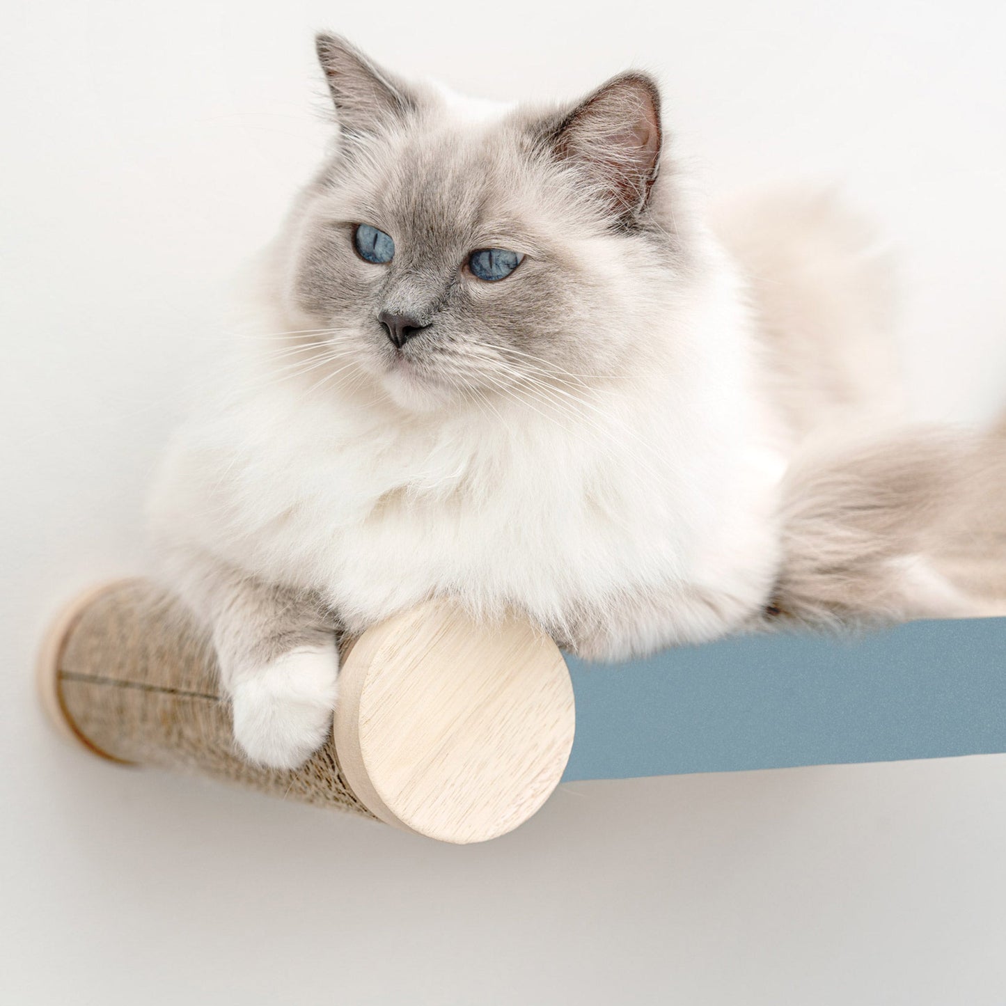 Ascentials by FurHaven Wall-Mounted Lookout Lounge Cat Shelf (26")