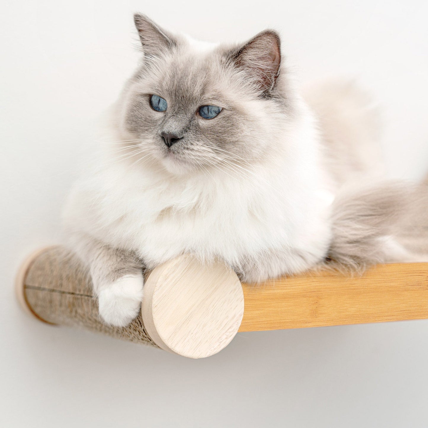 Ascentials by FurHaven Wall-Mounted Lookout Lounge Cat Shelf (26")